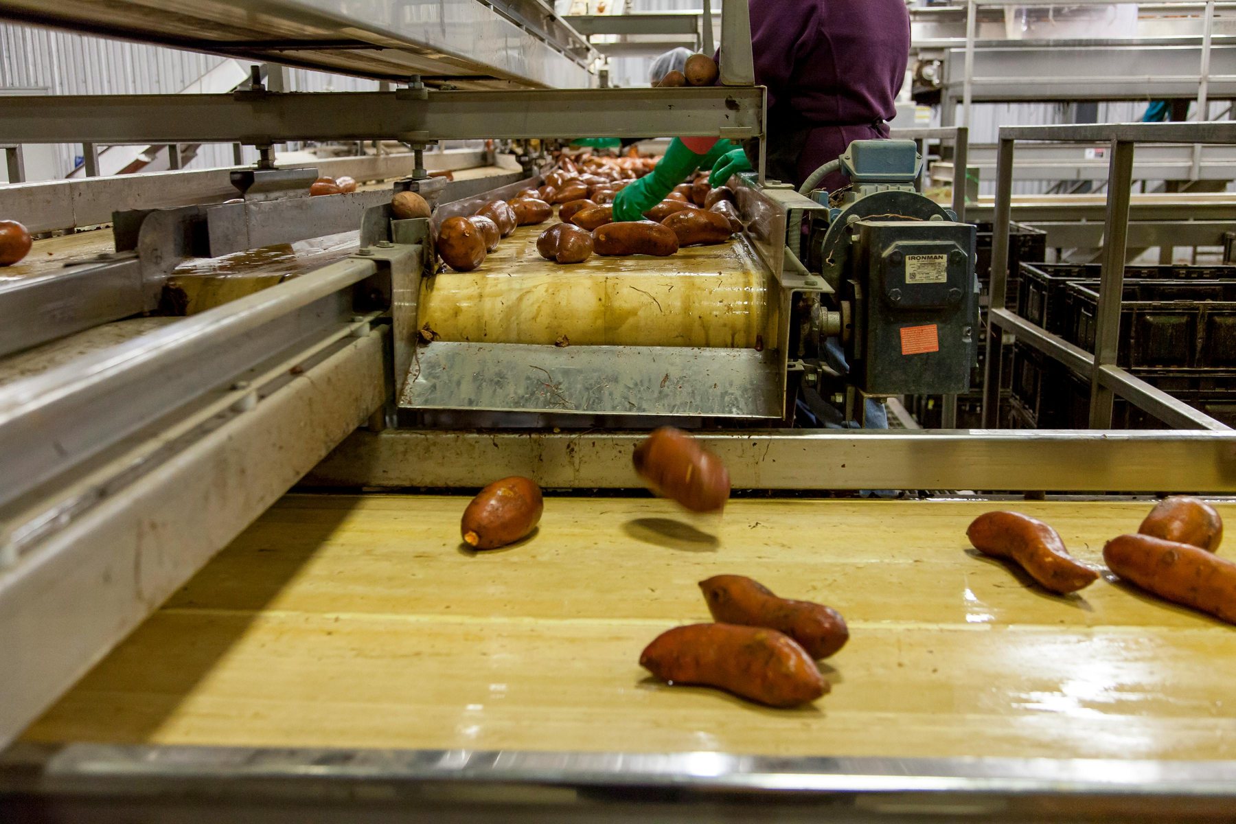 Agroindustria