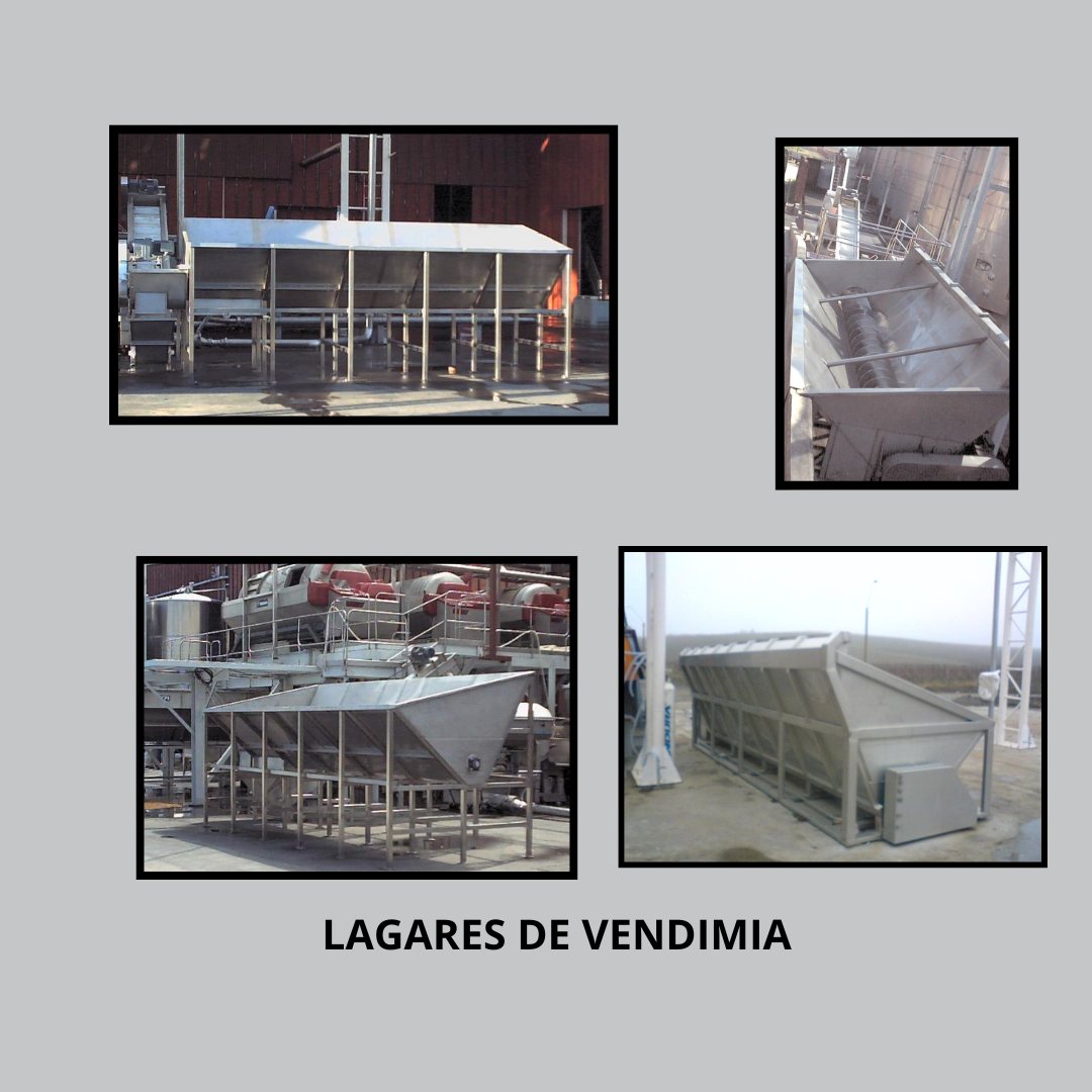 Vitivinícola